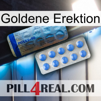 Golden Erection 40